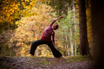 Yoga im herbstlichen Wald hinter dem Biohotel der daberer | Foto: der daberer. das biohotel/F. Neumüller