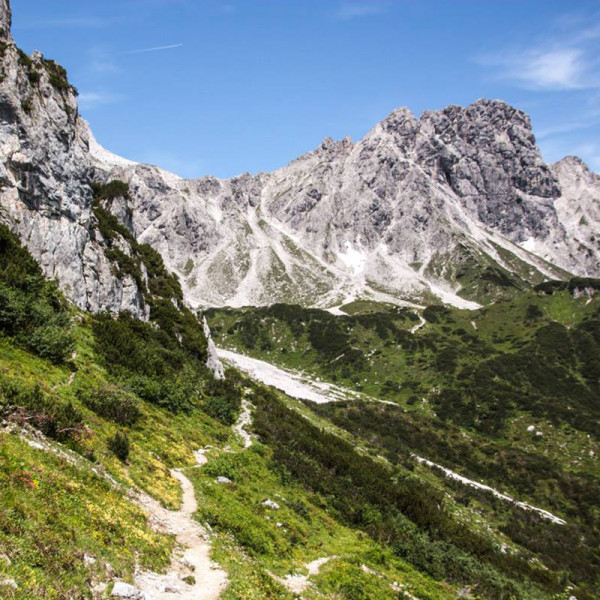 Die alpine Bergwelt im Gebiet des Gosaukamms