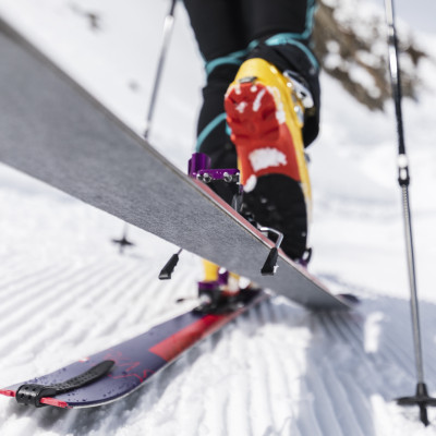 Die neuen Kohla-Skitourenfelle - vier verschiedene Farben für unterschiedliche Einsatzbereiche: Freeride (violett), Alpinist (orange), Vertical (grau) und Race (hellgrün)