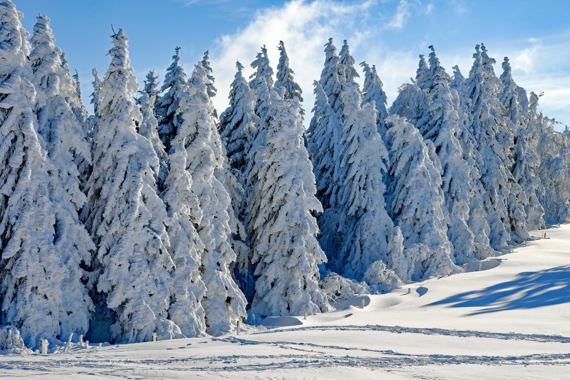 Neue Winter-Outdoor-Produkte im Alpe Adria Magazin