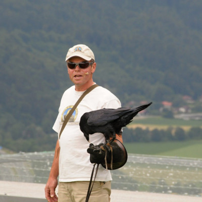 m_00000042654_Falkner-in-der-Adler-Arena-Landskron_Region-Villach-Tourismus-GmbH_Mirek-Feszanicz