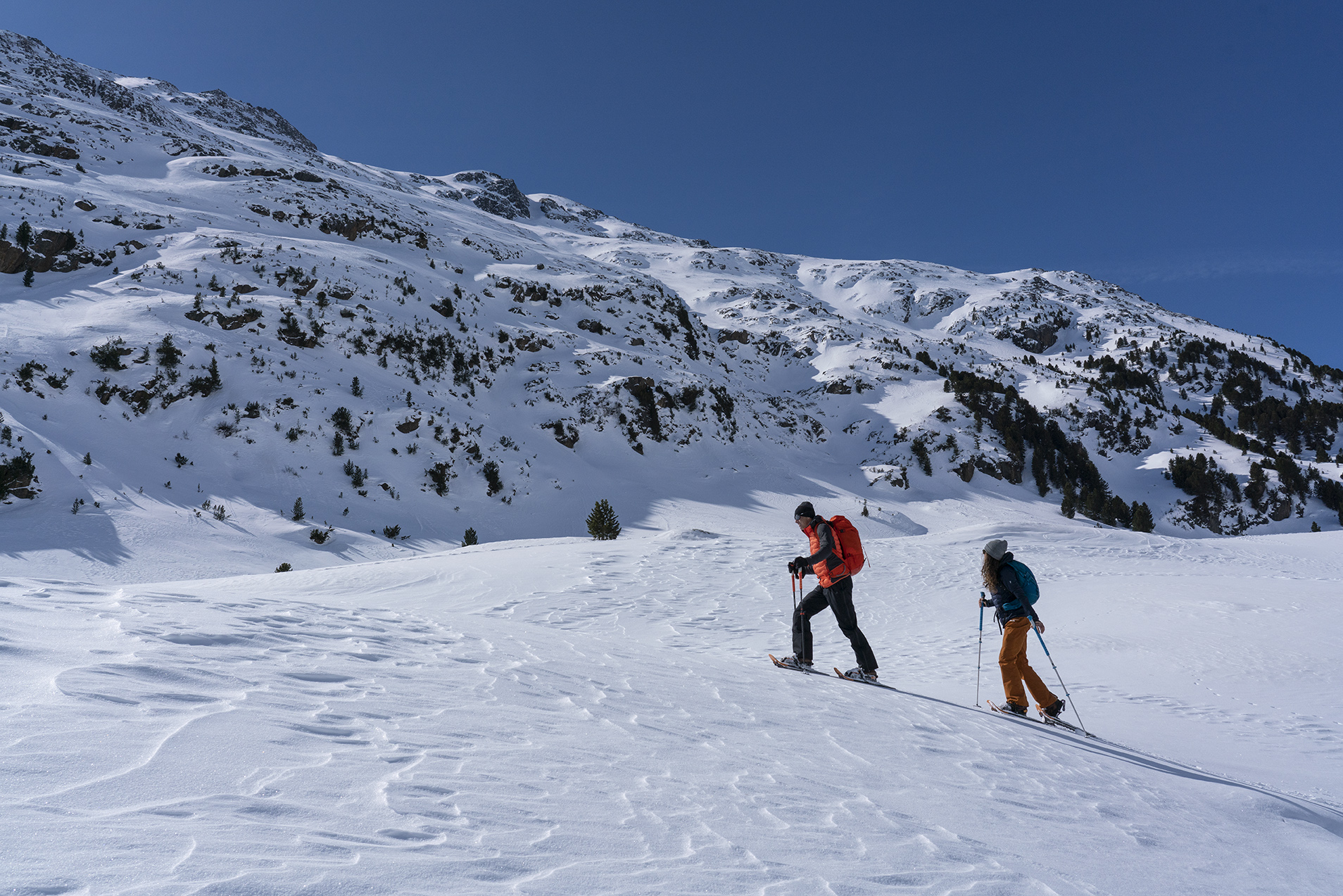 Schneeschuh- und Winterwandern