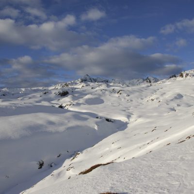 HoheSalve_unterwegs zum Salzachgeier