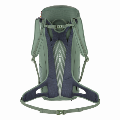 00-0000001270_SALEWA Alp Mate Rucksack_36L_5080_back