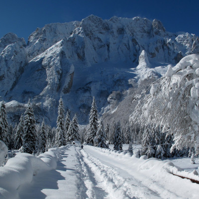 Skitourengehen, Schneeschuh- und Winterwandern mit Blick auf die Julischen Alpen wie hier im Saisera-Tal
