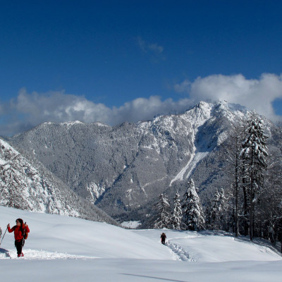 Skitourengehen, Schneeschuh- und Winterwandern mit Blick auf die Julischen Alpen wie hier im Saisera-Tal