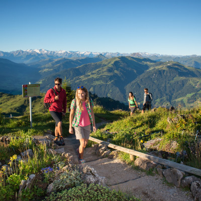 Bezaubernde-Eindruecke-im-Alpenblumengarten