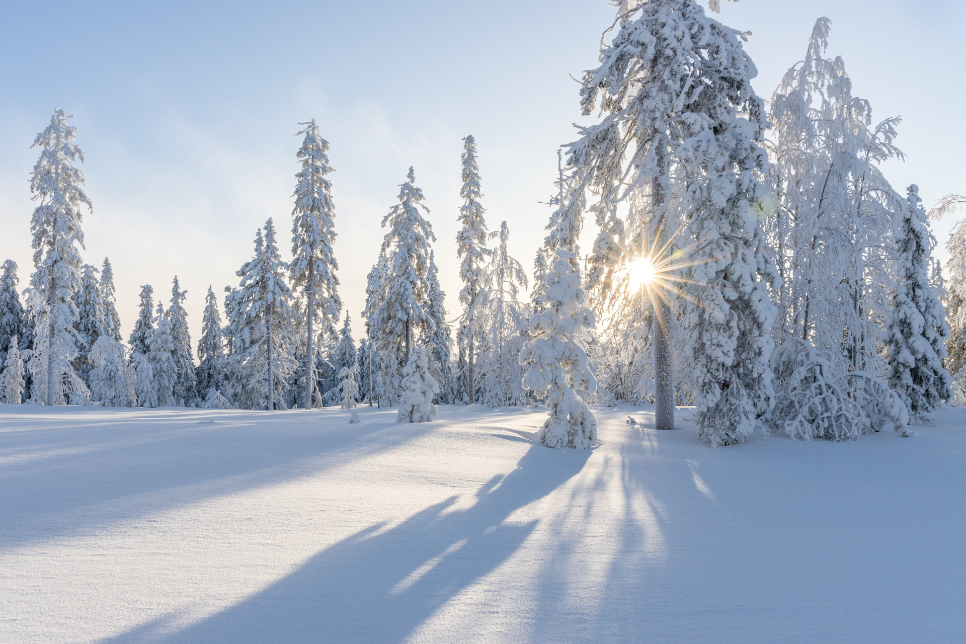 Produkttipps Winter