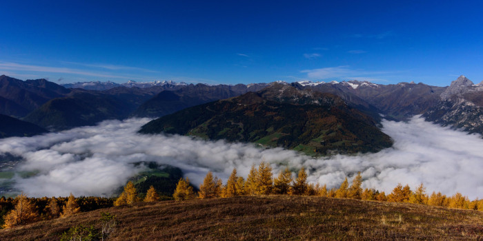 Bunte Herbst-Vielfalt am Berg