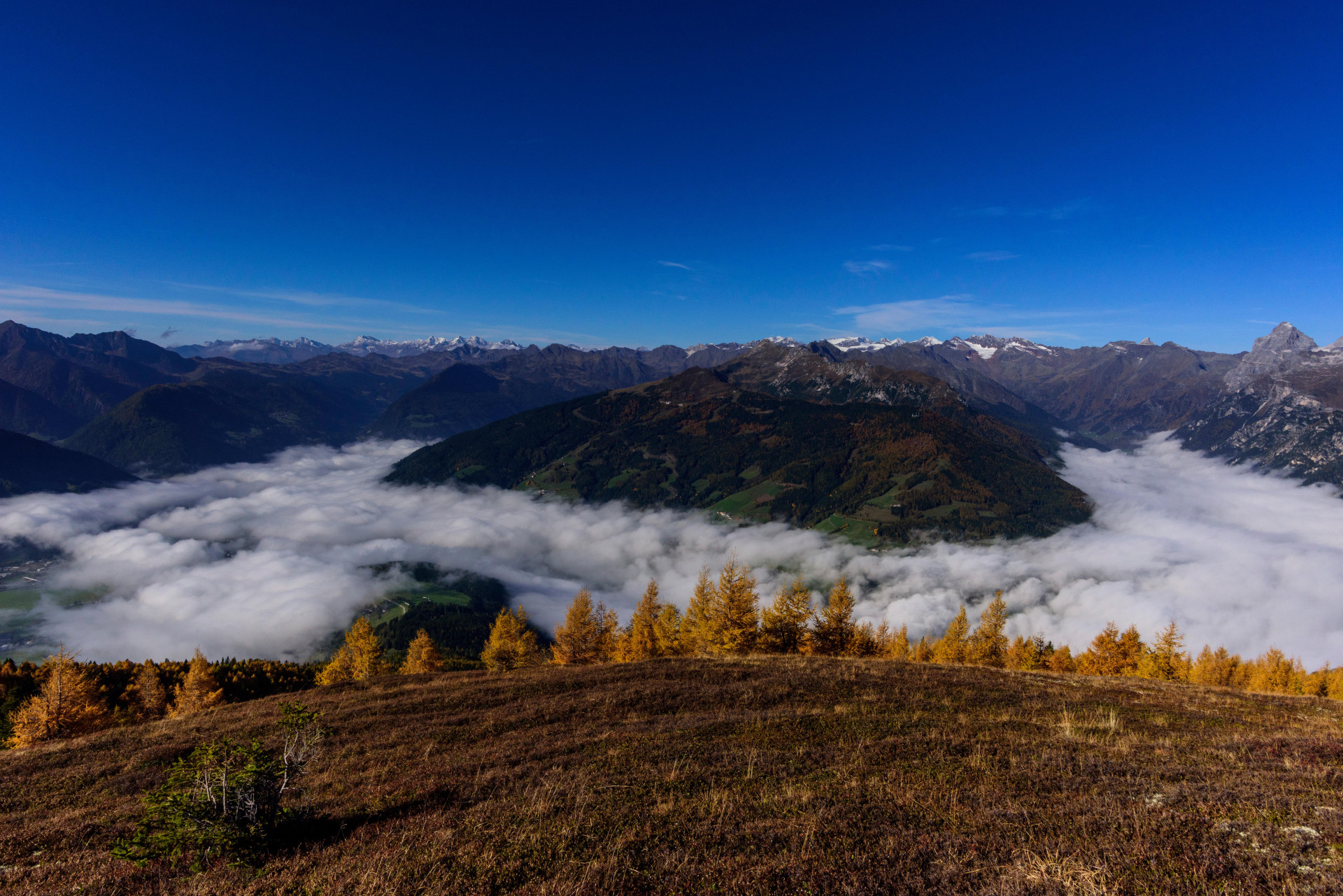 Bunte Herbst-Vielfalt am Berg