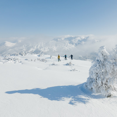 TVB Salzkammergut selected