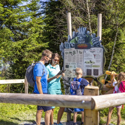 Steinbergkönig_Streuböden ©defrancesco (14) Steinbergkönig_Streuböden ©defrancesco (14)