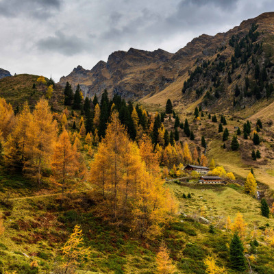 guus reinartz dolomieu herbst (3)