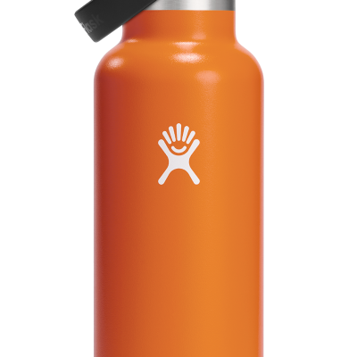 Hydro Flask_21 oz Standard Mouth mit Flex Straw Cap_Mesa