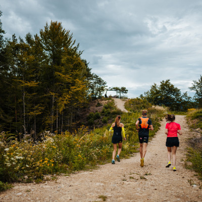 Trailrunning auf den Kitzelberg über dem Klopeiner See; Freunde
