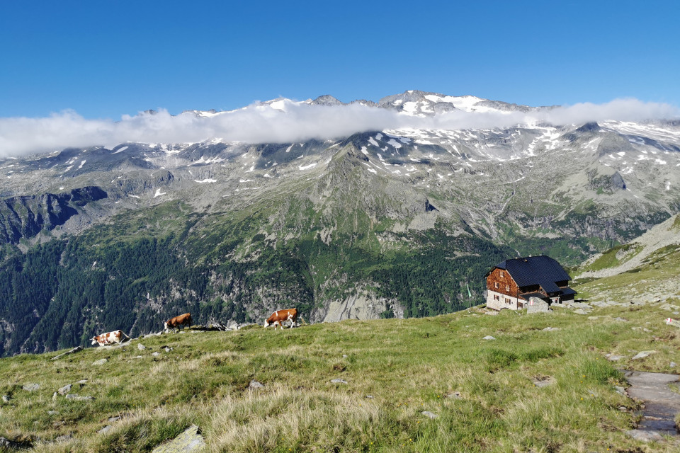 Großer Hafner 2021-3 (c) Lisa Derflinger Großer Hafner 2021-3 (c) Lisa Derflinger