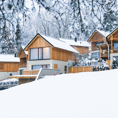 Montestyria Mariazell 23112022-9796