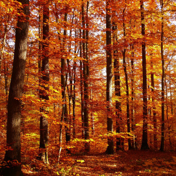 Produkt-News fürs Reisen im Herbst