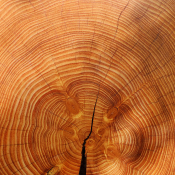 Ruhetage – Sinn oder Unsinn?