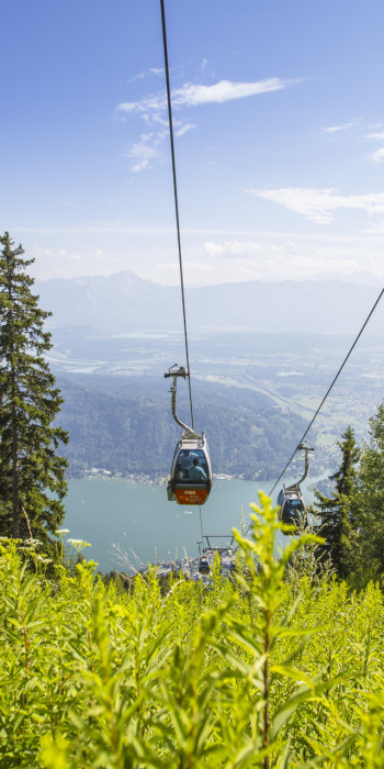 365 Tage & 12 Monate: Die Vision für Kärnten