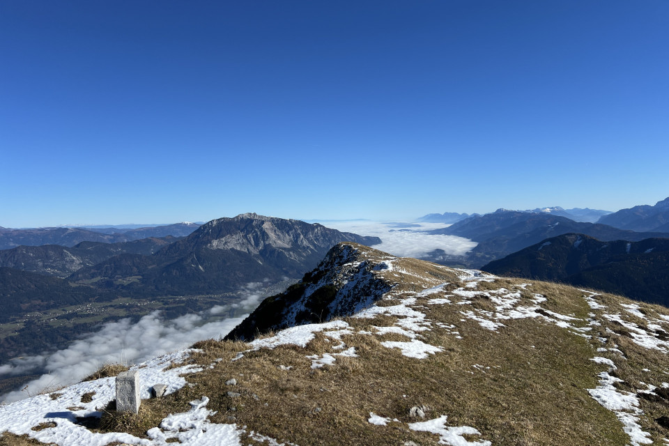 IMG_1416