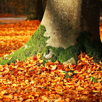 Produkt-News für Herbst-Reisen