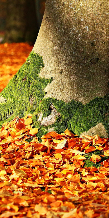 Produkt-News für Herbst-Reisen