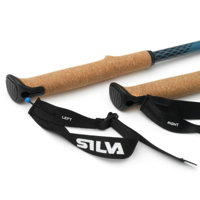 Silva_1